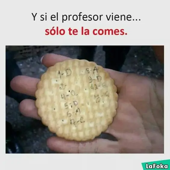 Lindo