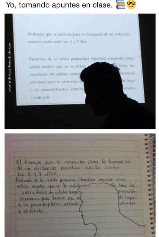 que van