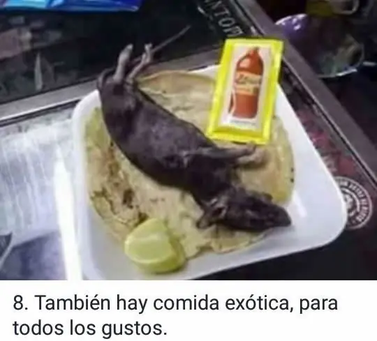 noche