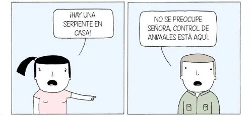 Machista
