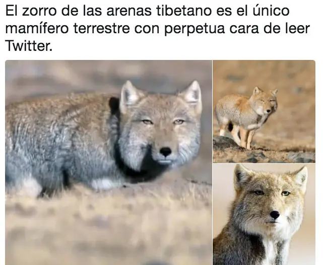incomodad