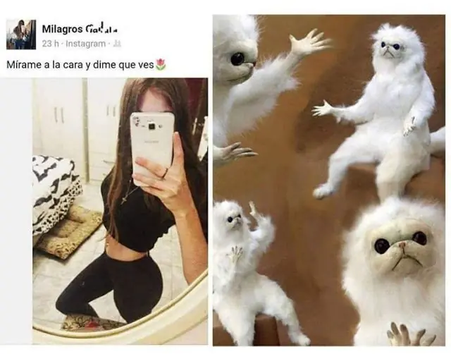 Humor (in)culto: Extremadamente buenísimo y pase gran día