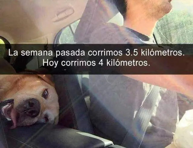 incomodad