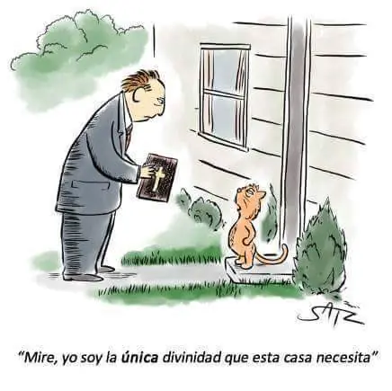 Mememania para linces! #4