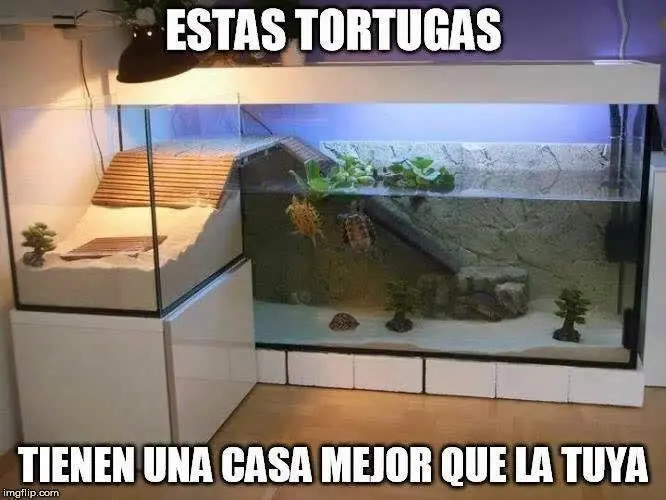 sabado