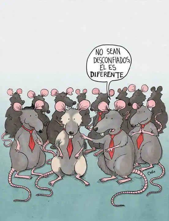 Humor celoso: Solo para amantes del verdadero humor