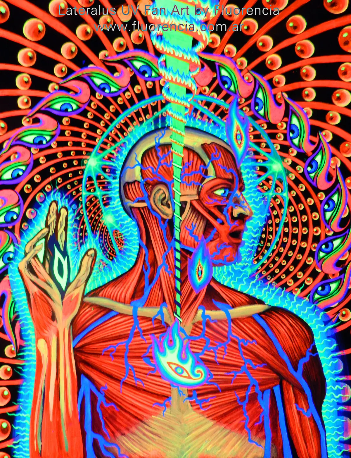 tool