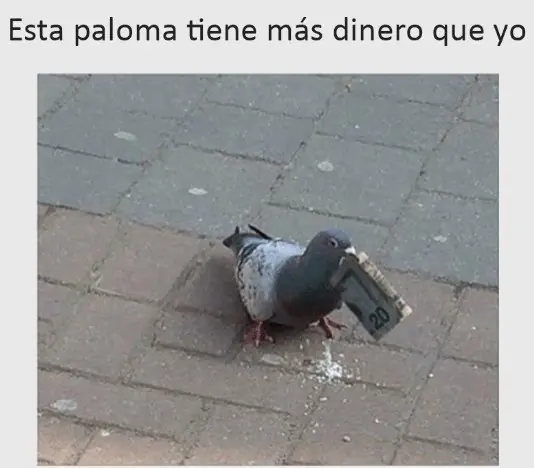 carcajadas