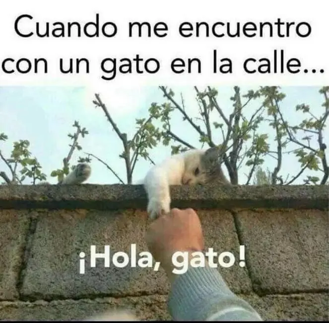 Humor de sábado para vos