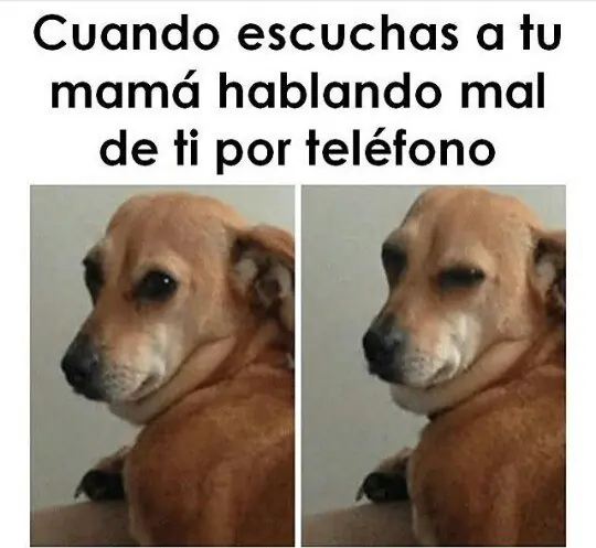 carcajadas