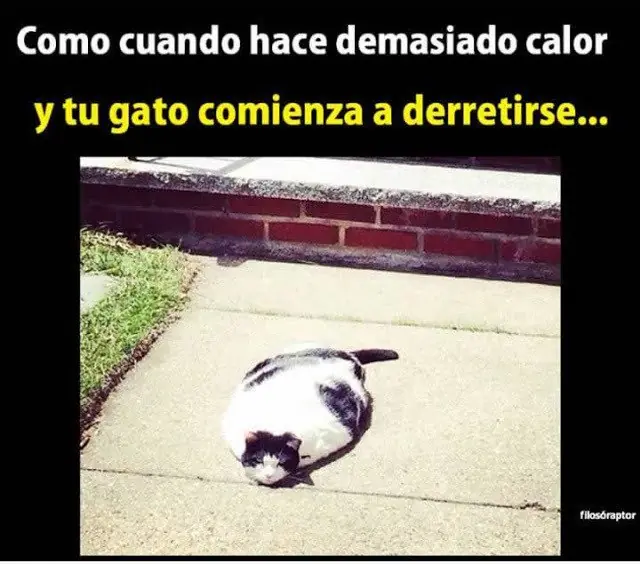 humor