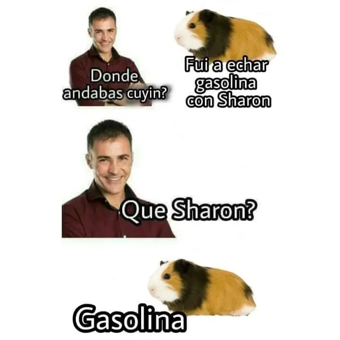 humor