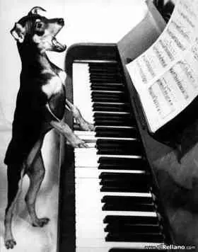 Clases particulares y/o grupales de música