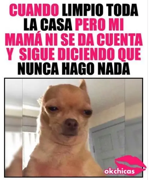 Domingo