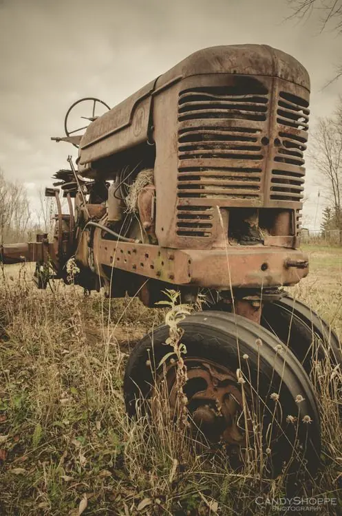 agricola