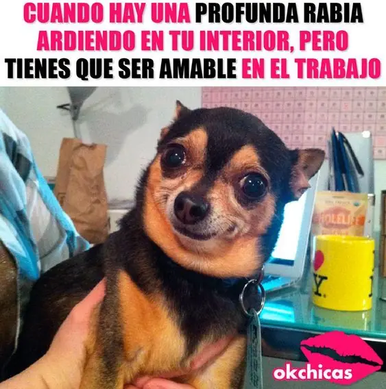 Humor