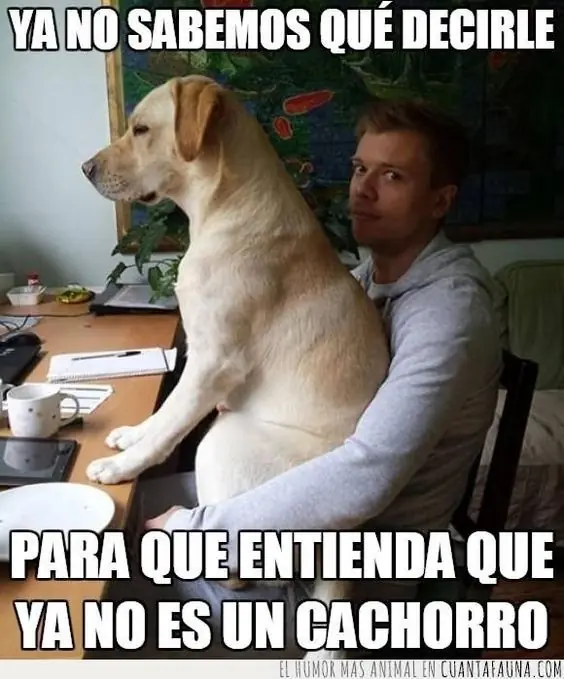 Risa