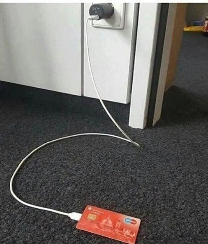 Graciosísimos momentos que la cordura ha tomado el día libre