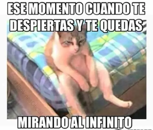 Risa