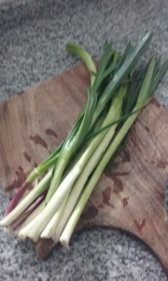 Te enseño a hacer tarta de puerros, roquefort y champignon