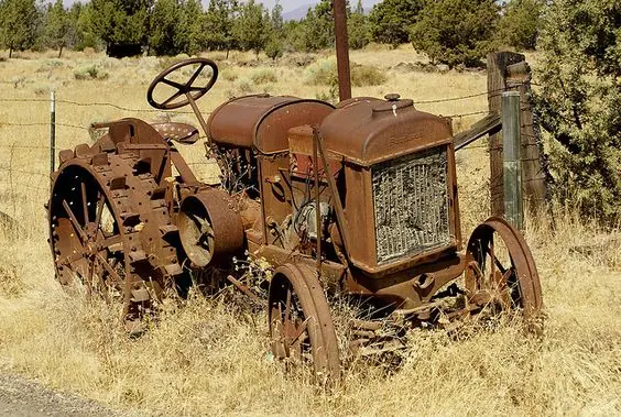 agricola