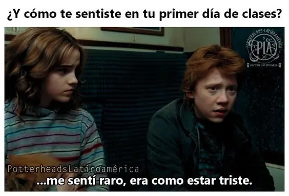 Humor cautivador para gozarte esta tarde especial y alegre