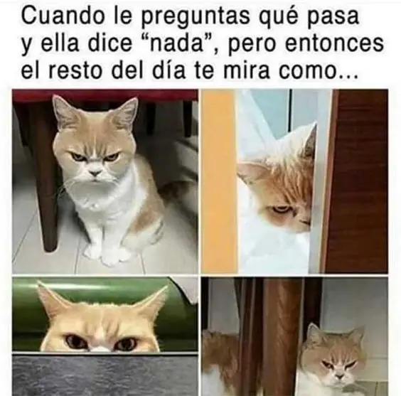 Cautivador