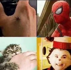 Megabueno