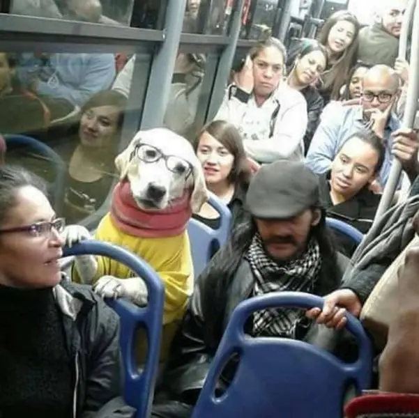 INTELIGENCIAS