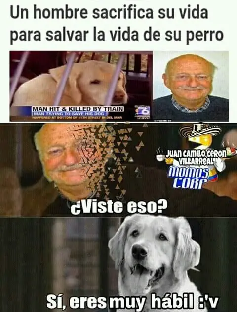 Humor