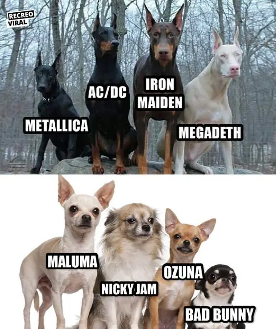 Humor tardecino para que te rias sabroso con todas tus ganas