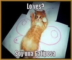 Humor