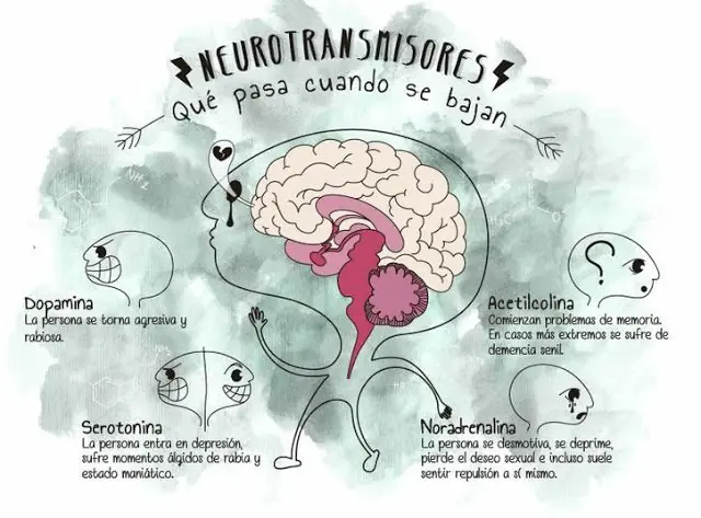 Humor
