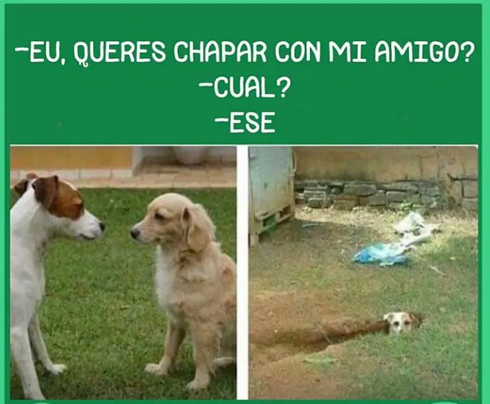 findesemana