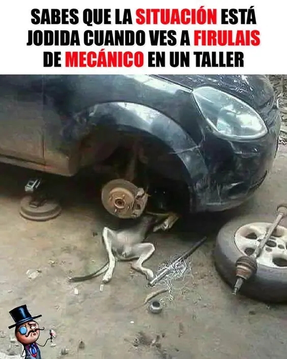 Riete