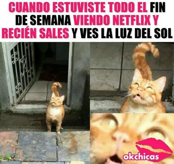 Mucho