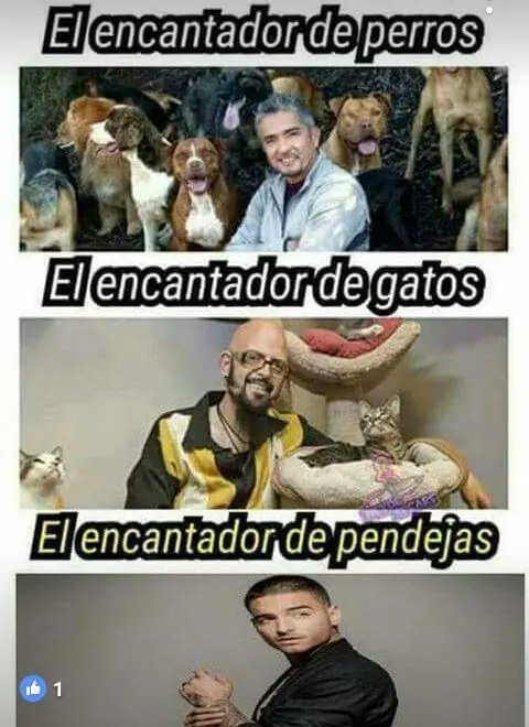 Humor