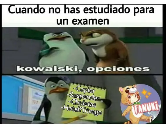 Mucho