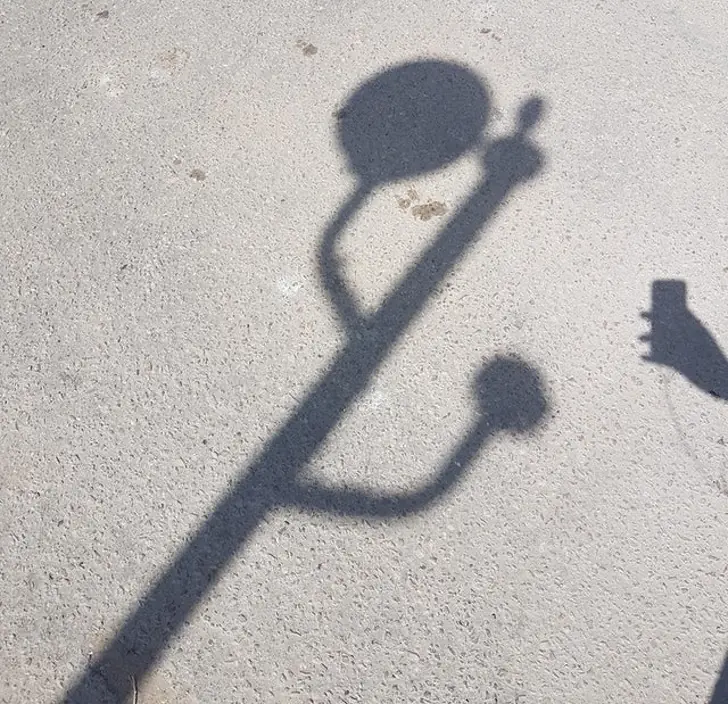 fotos