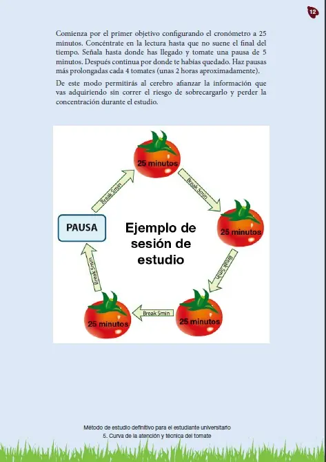 enseña