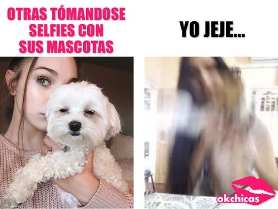 Riete
