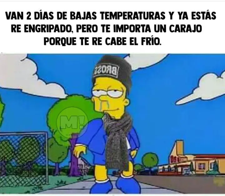 Memes para pasar la tarde/noche (4)