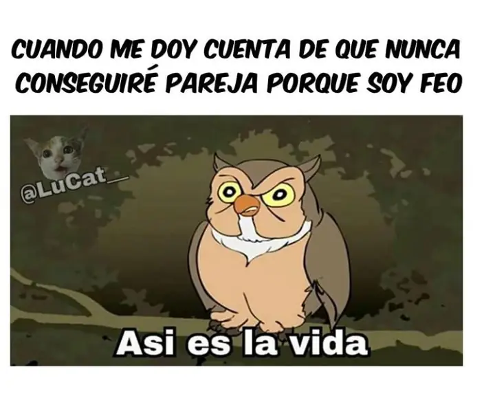 Memes para pasar la tarde/noche (4)