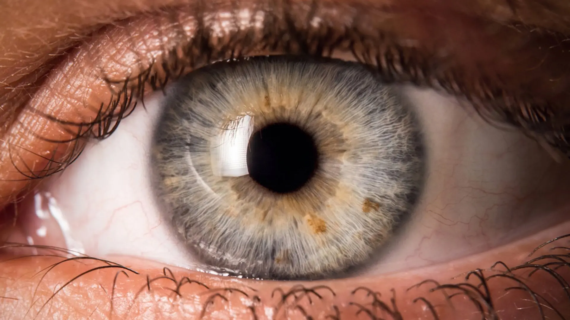 ojos