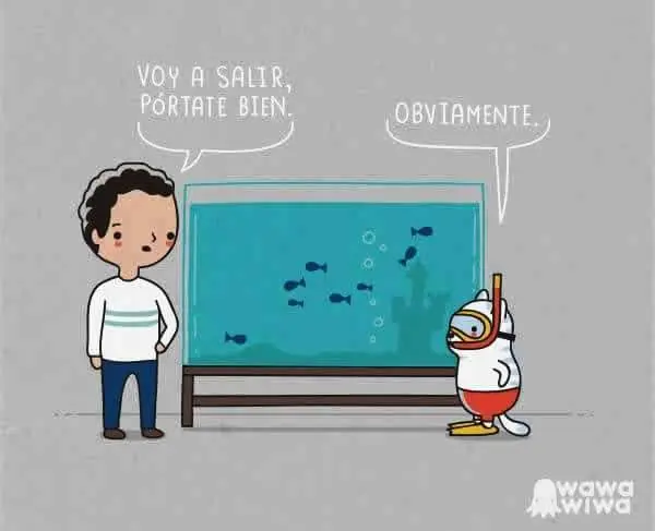 humor