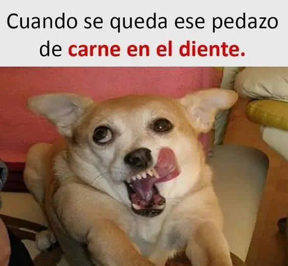 Como nunca antes