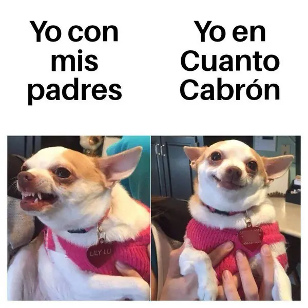 Humor oscuro: Te dolerá el diafragma después reír tanto