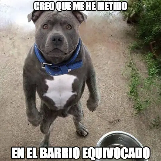 Humor oscuro: Te dolerá el diafragma después reír tanto