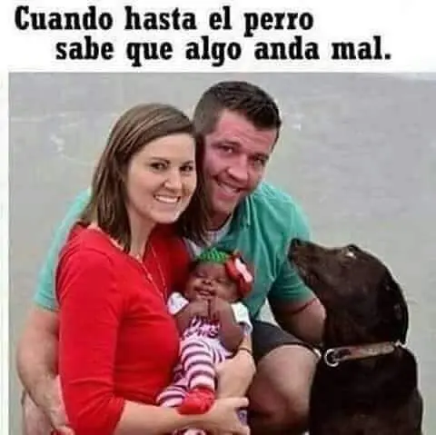 Humor
