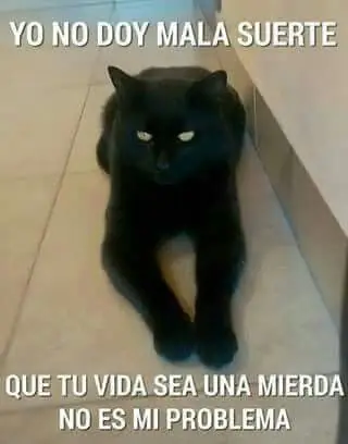 Humor